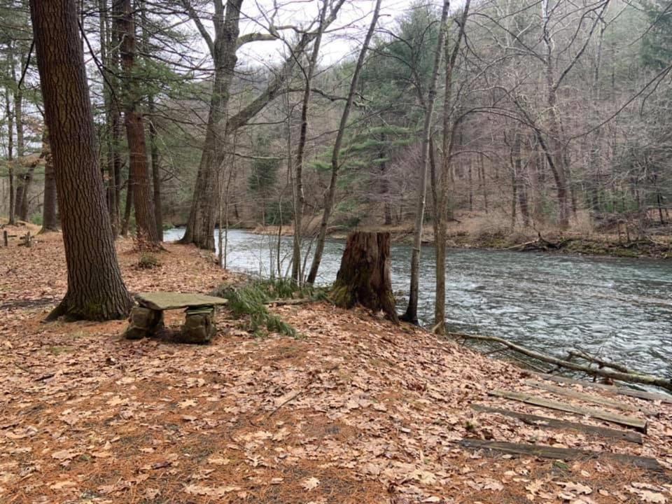 Gaines Pine Creek Motel & Campsites מראה חיצוני תמונה